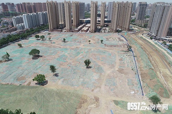 微信图片_20190814115501.jpg