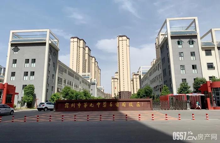图11.jpg