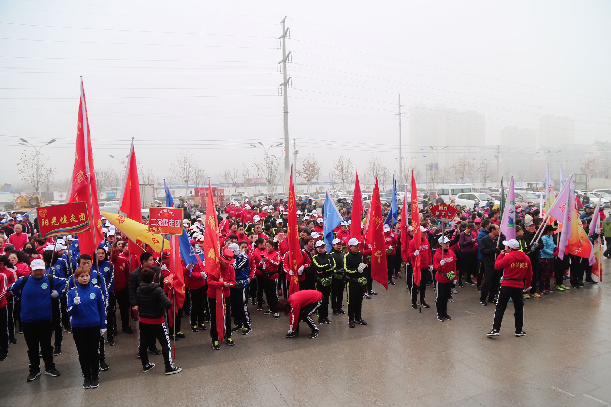 QQ图片20190113113941.jpg
